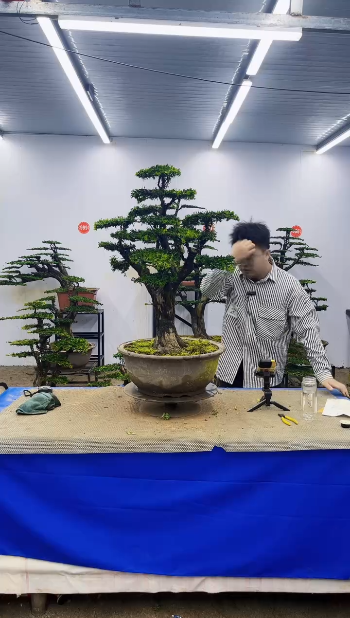 完全开放D****s一物一拍，所见即所得