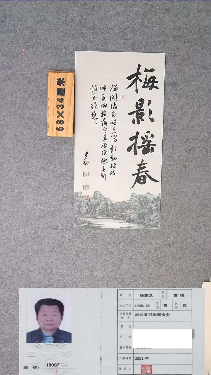 书法龙老师精品书法纯手写 湖北