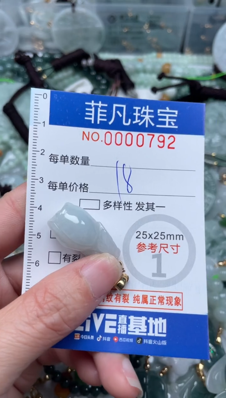 【闪购商品】翡翠颈饰未镶嵌00..0792