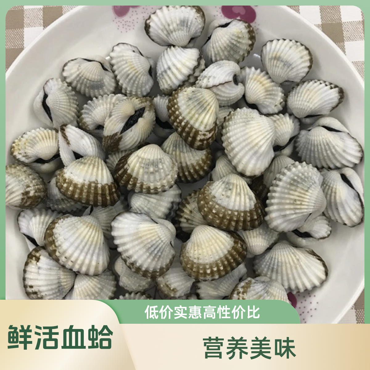 鲜活血蛤500g/份