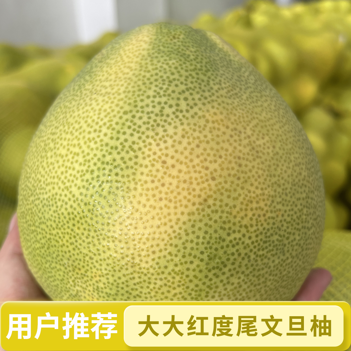 柚子（50-100斤装小孔果袋装）福建度尾文旦柚新鲜水果脆甜当季包邮