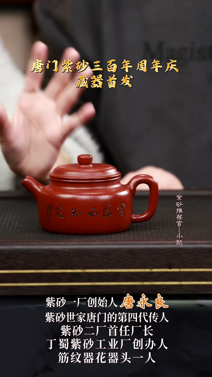 茶壶紫砂2TLY5德钟大红袍250cc
