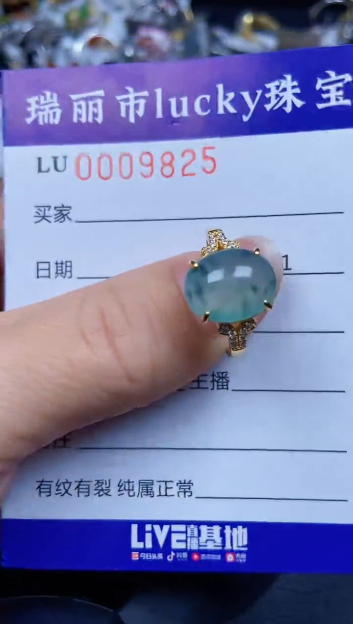 【闪购商品】翡翠颈饰银S925镶嵌9825