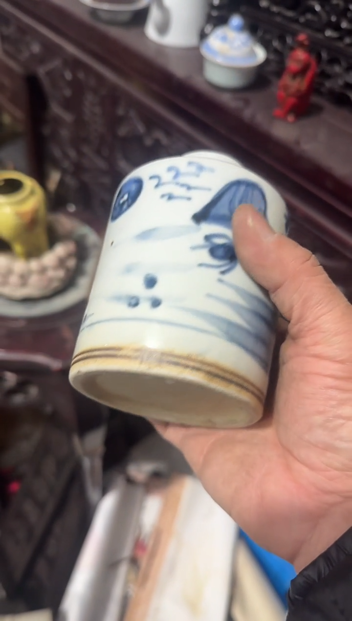 茶盏春*直播闪购改价链接195