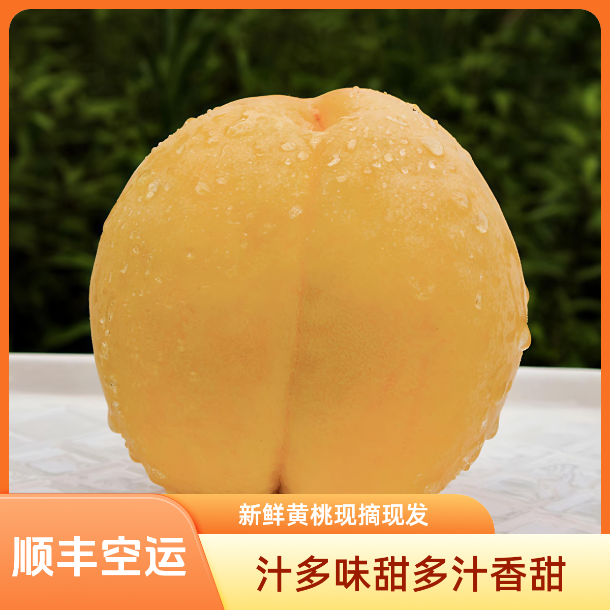 【顺丰空运】湖南长寿之乡麻阳锦绣黄桃-新鲜现摘超甜多汁香脆可口