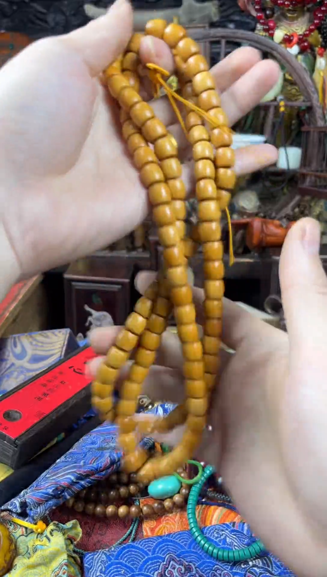 香榧木500（收到货任何问题联系客服）