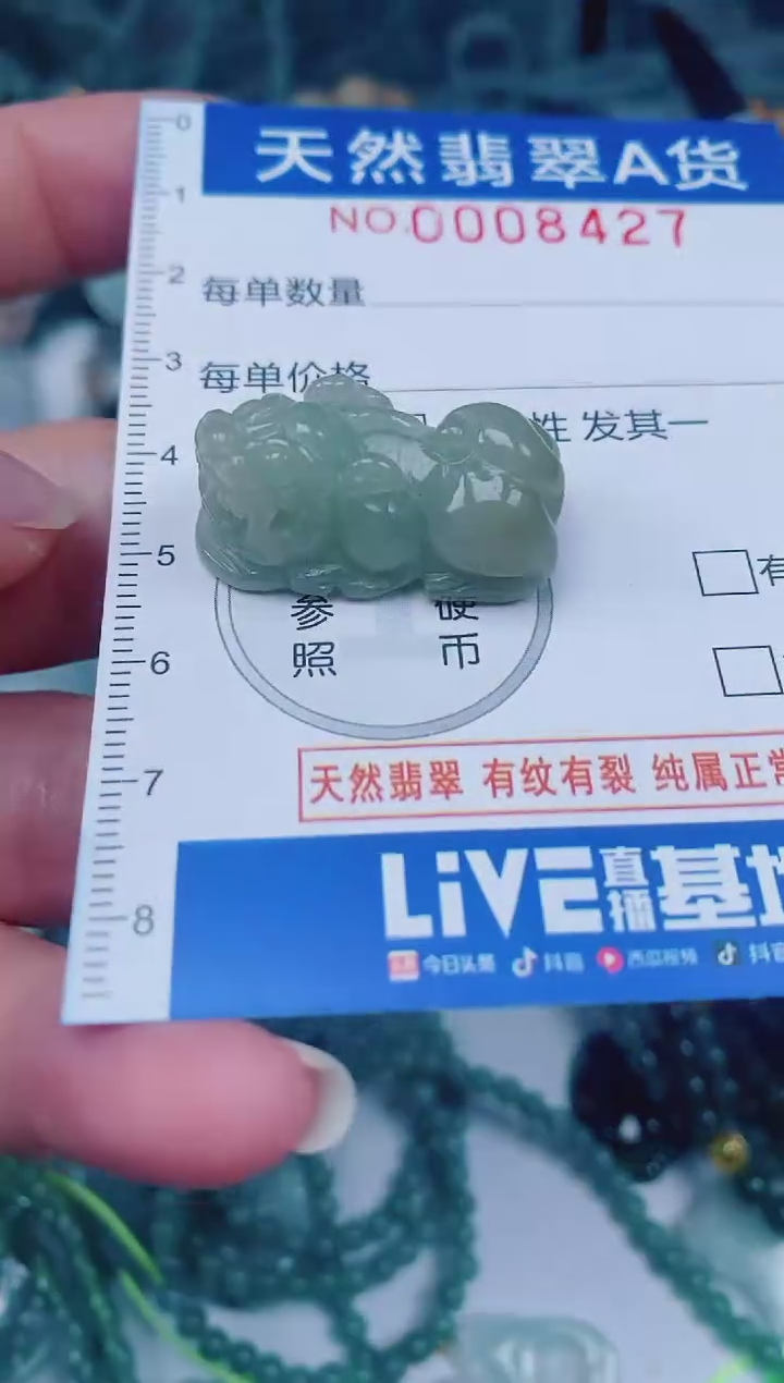 颈饰未镶嵌翡翠00008427