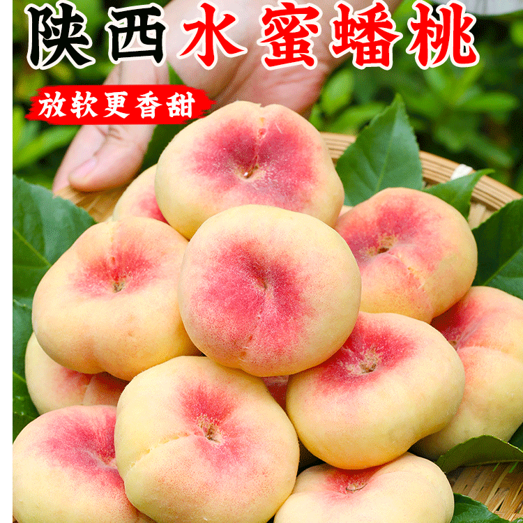 陕西毛蟠桃现摘纽扣蟠桃当季彩虹桃子奶油水蜜桃新鲜水果包邮