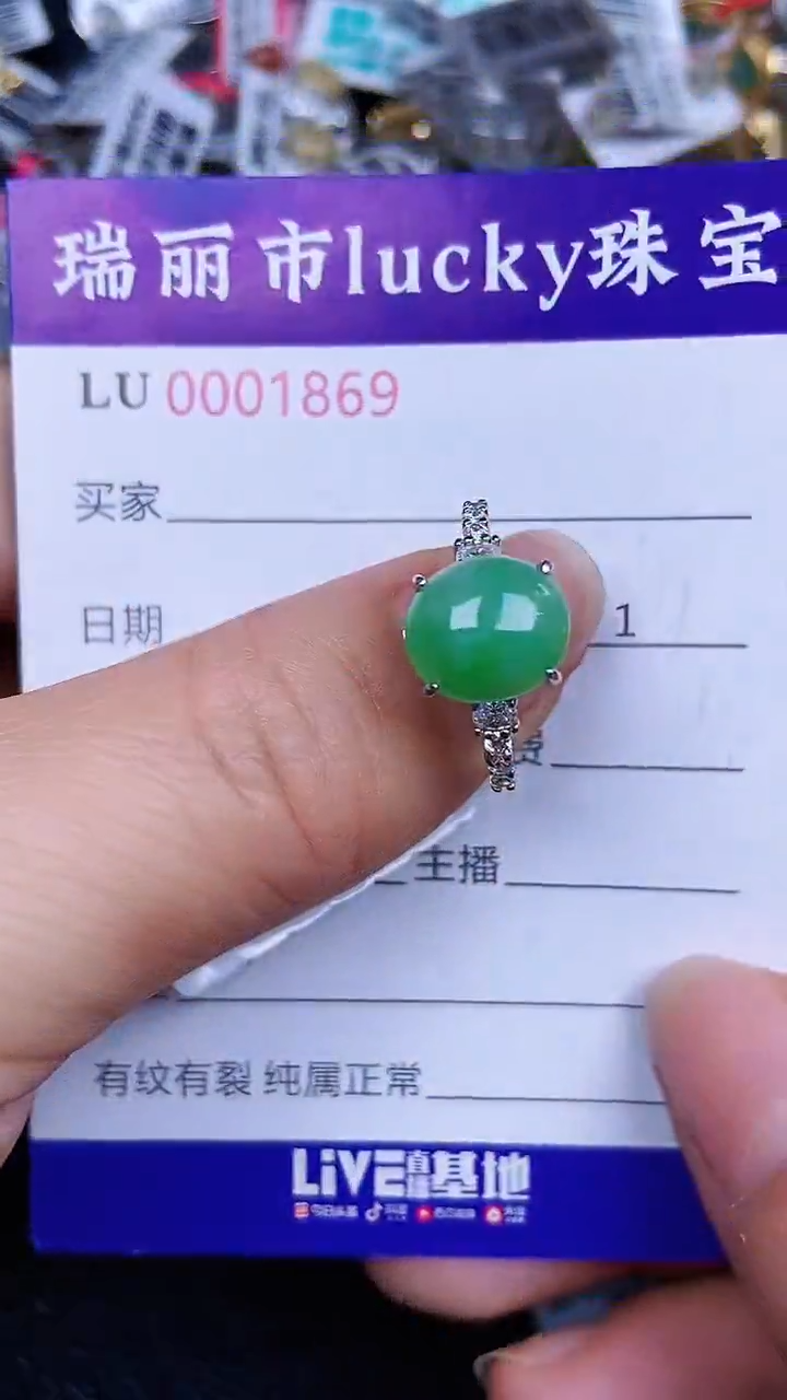 颈饰银S925镶嵌翡翠1869