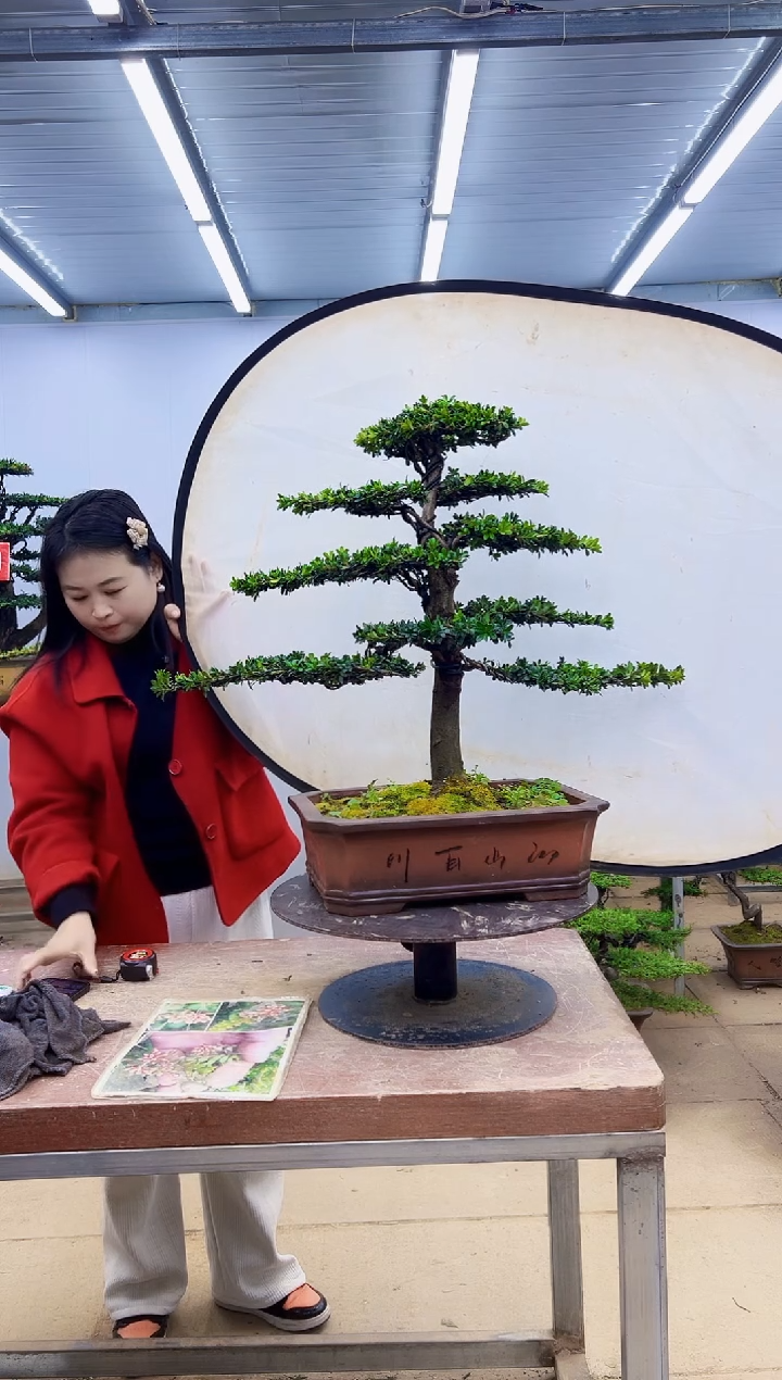 无花朵一物一拍，所见即所得