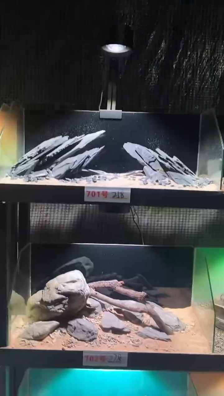 701号鱼缸造景（不含底砂）