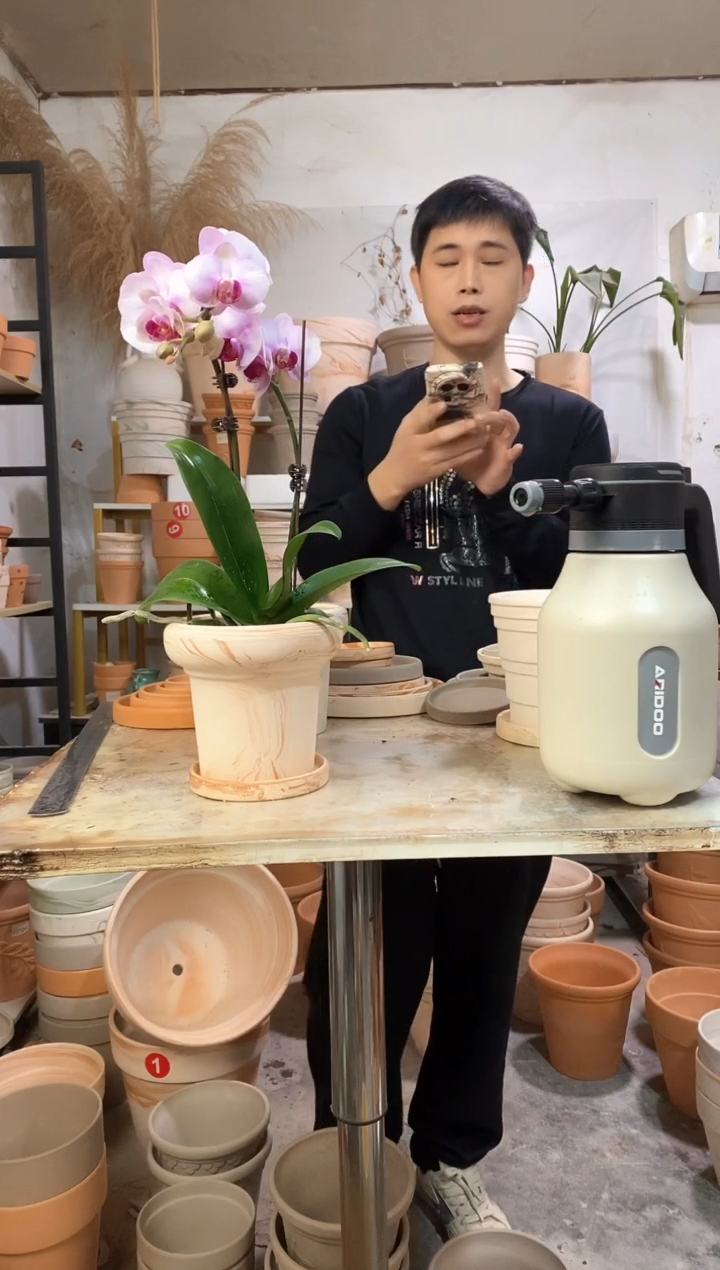 15*14玛奇朵蘑菇 1盆1托