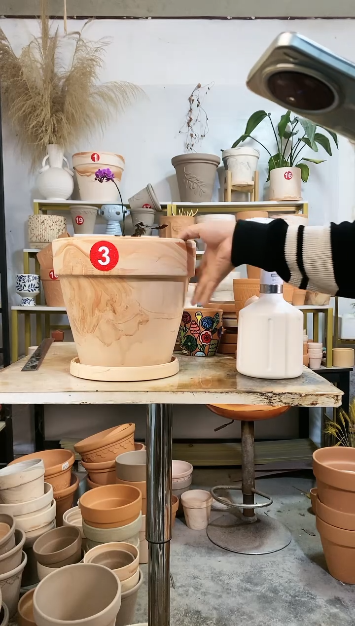 【闪购商品】红陶27*24玛奇朵 1盆1托