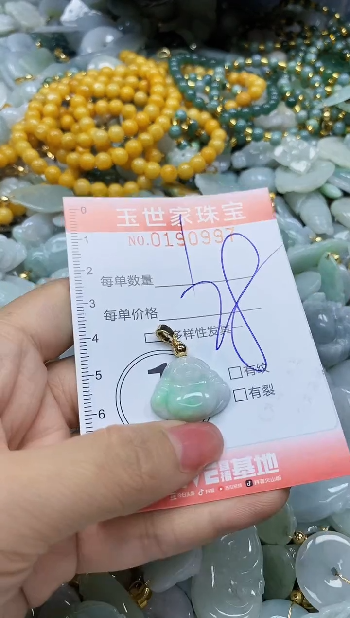 【闪购商品】翡翠颈饰未镶嵌闪购0190997