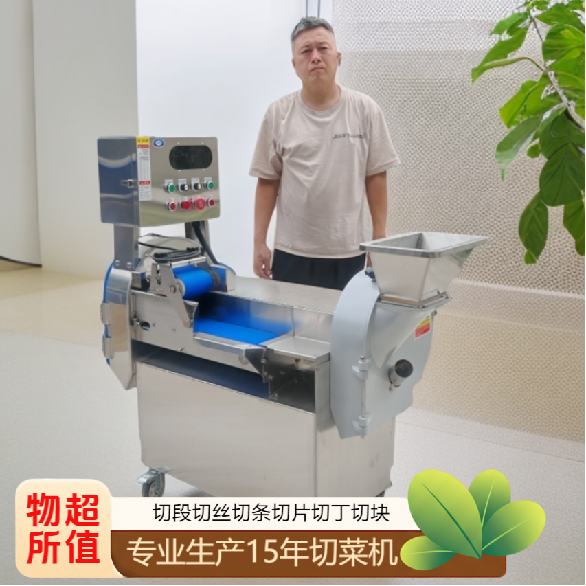 多功能全自动切菜机可切丁切丝切片适用于食堂饭店加工果蔬冻肉