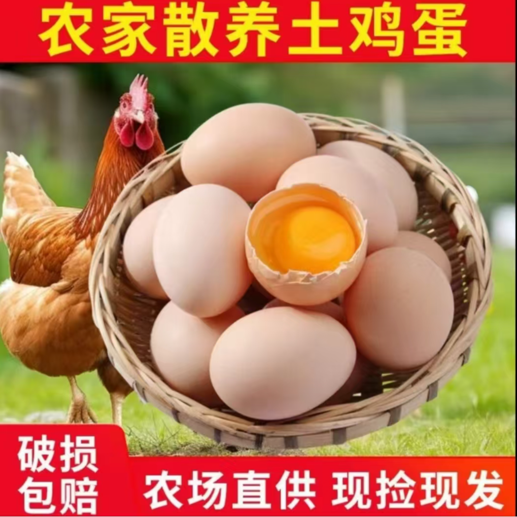 【50枚】YX农家散养土鸡蛋散养散放新鲜土鸡蛋粉壳现捡40-50克