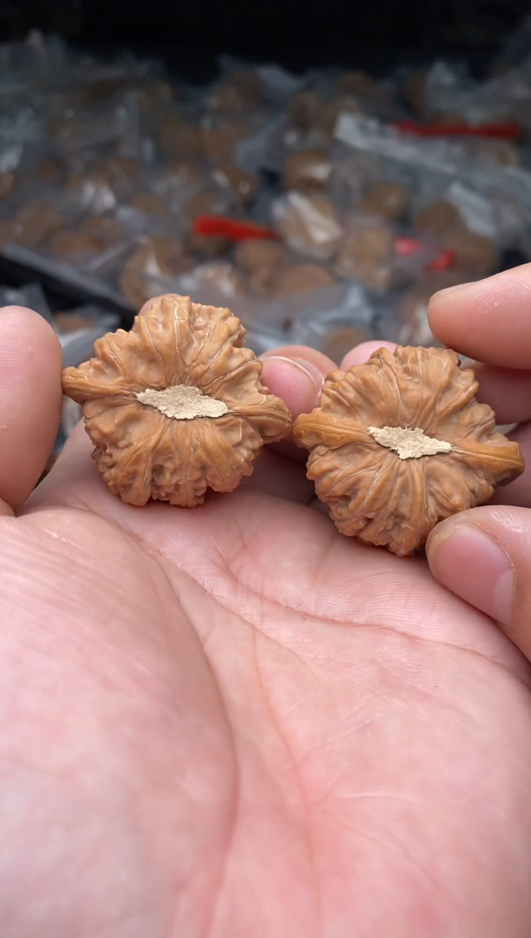 【闪购商品】文玩核桃把件B76号40尺密文