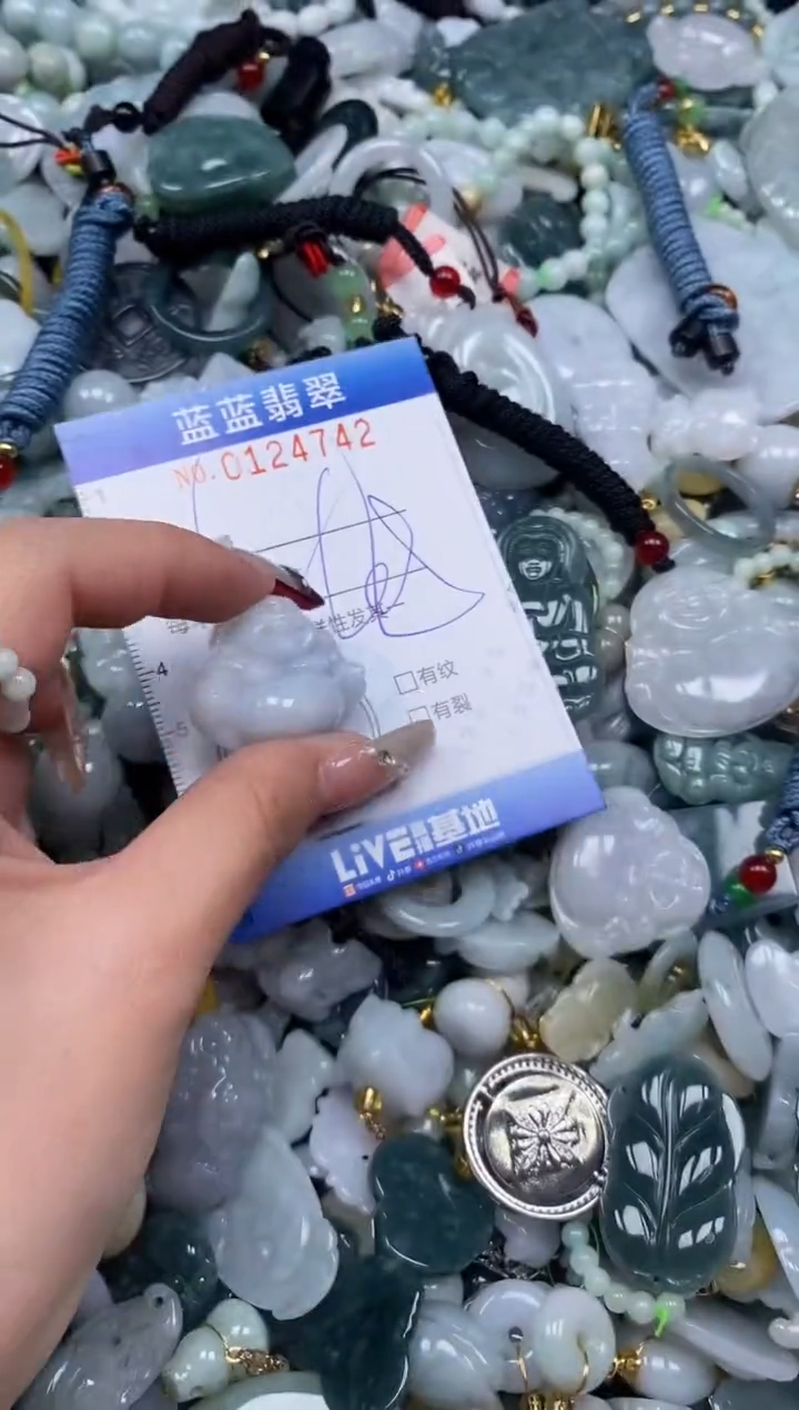 【闪购商品】翡翠颈饰未镶嵌闪购0124742