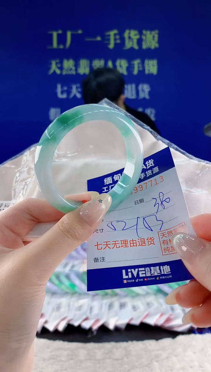 未镶嵌手镯翡翠13
