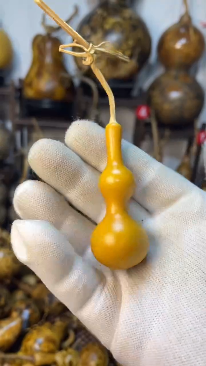 【闪购商品】葫芦葫芦葫芦葫芦