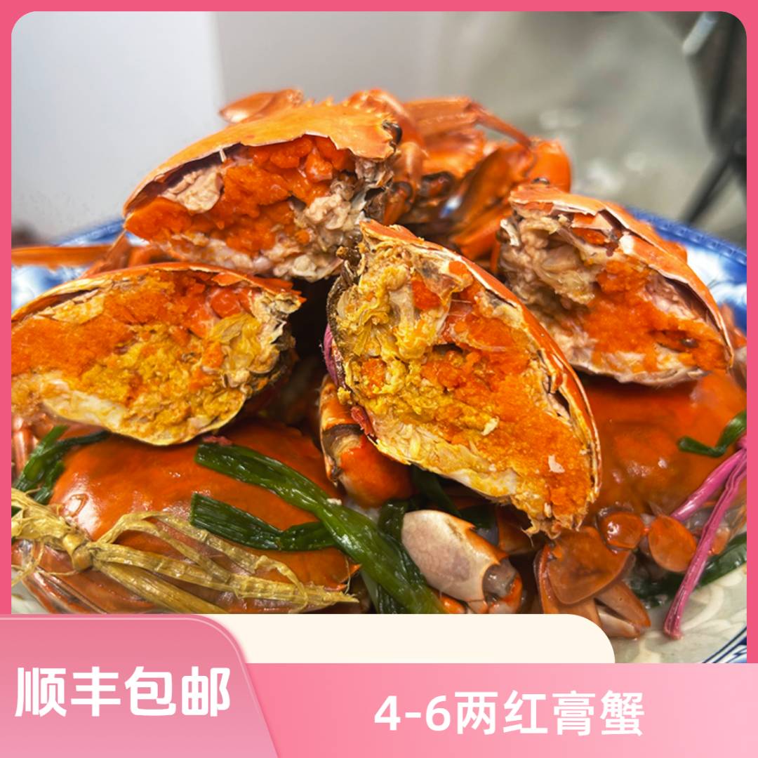 三【4-6两红膏蟹】【买2只在送1只】青蟹海鲜螃蟹活发到家母蟹有膏有黄4-6两/只红膏蟹