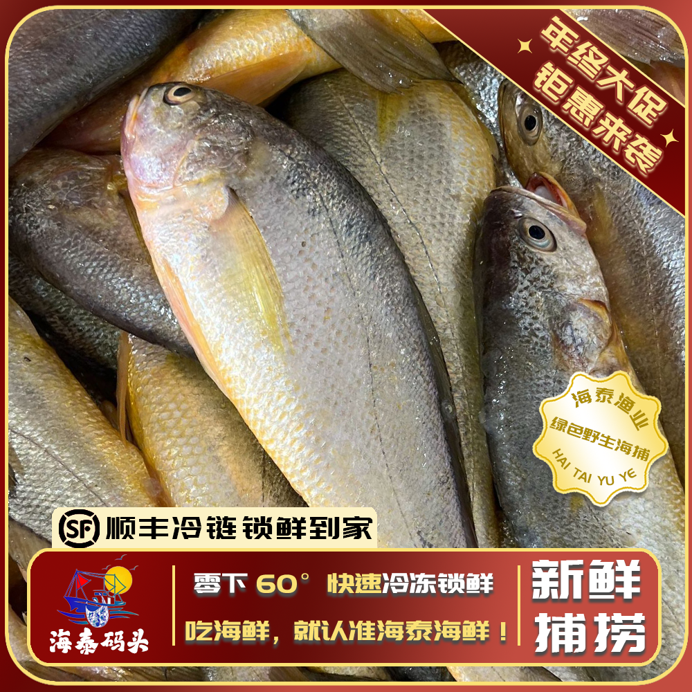 【阿曼专属】【黄花鱼】海泰码头 深海捕捞鲜活 锁鲜冷链到家