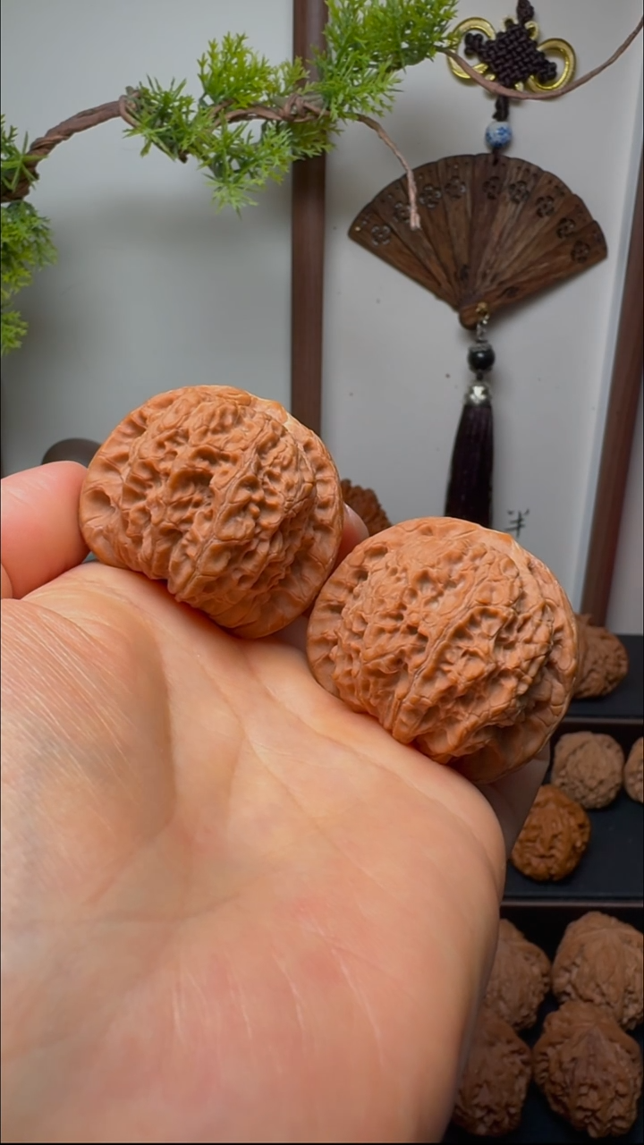 把件文玩核桃血麒麟货头 边41