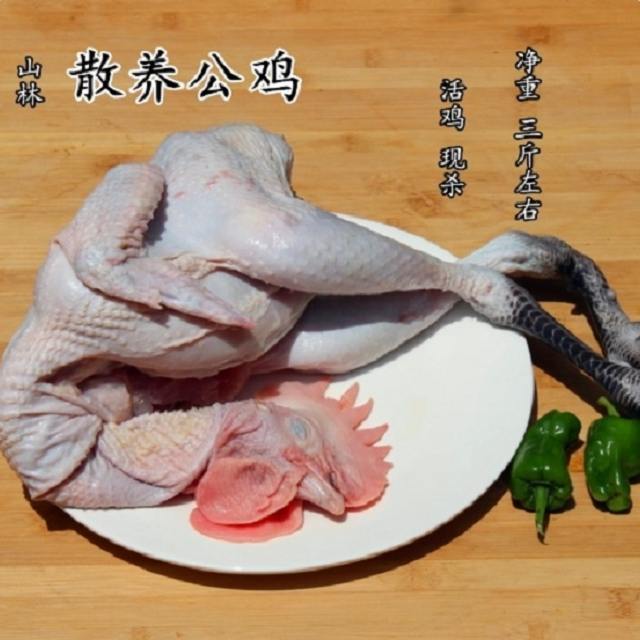 正宗杜仲跑山鸡土鸡农家散养走地鸡柴鸡肉新鲜现杀笨草鸡整只