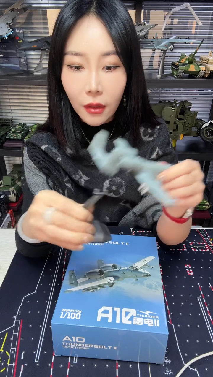1/100合金飞机模型A10 模型