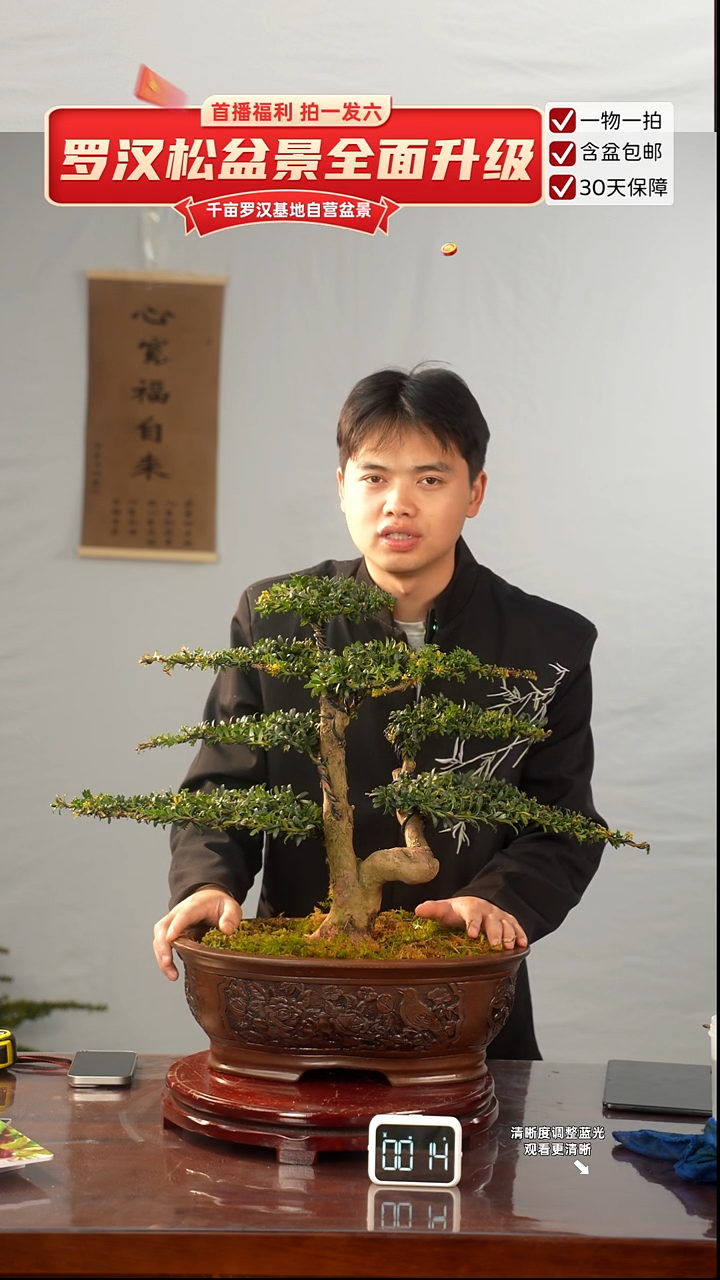 以实际为准专属于  大哥的闪购链接