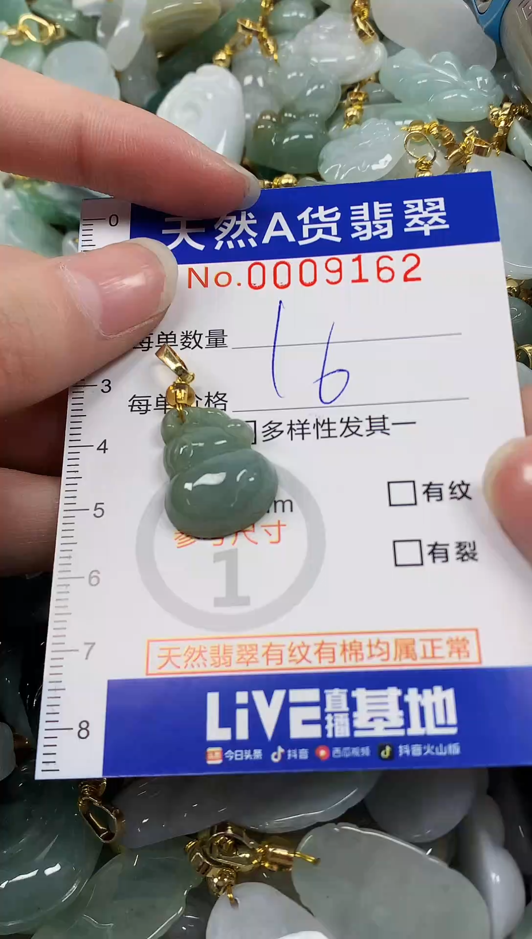 颈饰未镶嵌翡翠纯天然a货翡翠