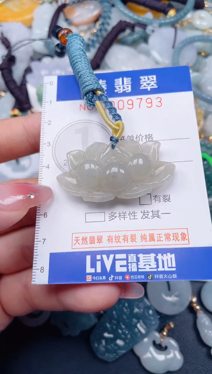 颈饰未镶嵌翡翠.0009793