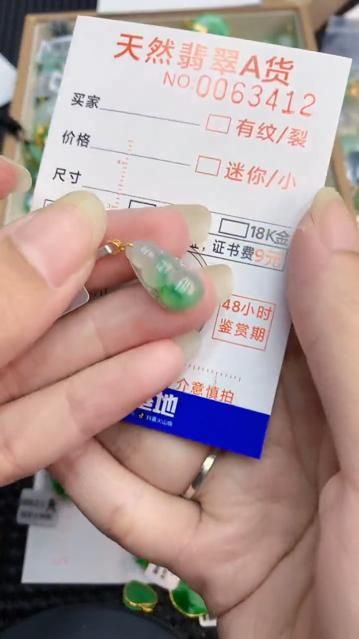【闪购商品】翡翠颈饰18K金镶嵌            8