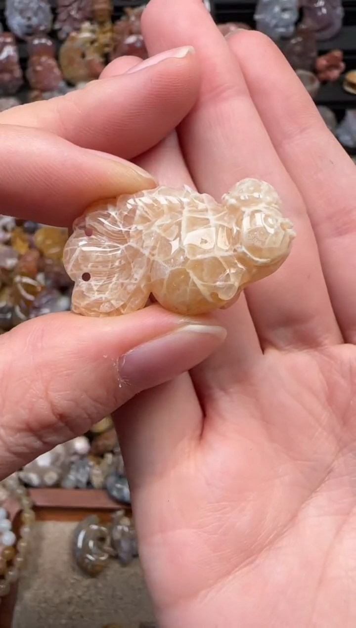 颈饰未镶嵌硅化珊瑚（珊瑚玉）120