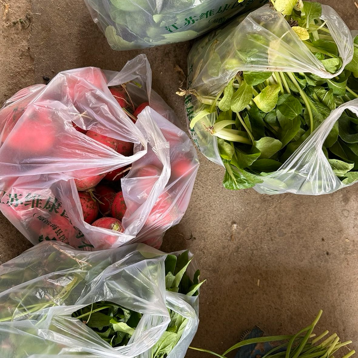 阿张农产品农村露天蔬菜 香瓜 西红柿 瓠子 茄子 普通快递全国