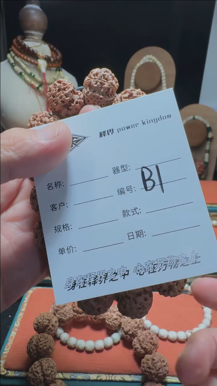 【闪购商品】星月菩提手串品牌福利手串B1