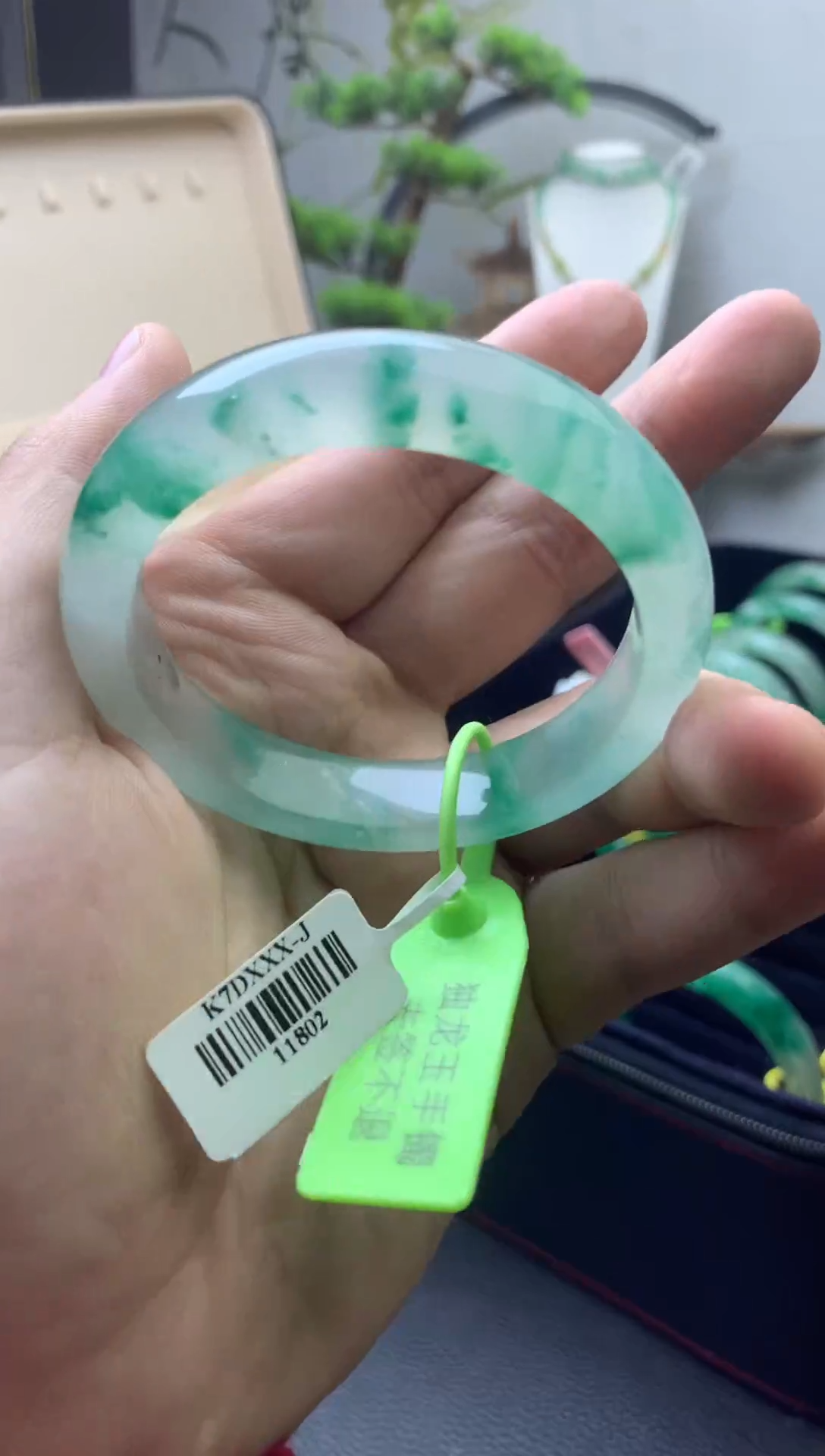 【闪购商品】石英质玉手镯未镶嵌独龙玉白飘绿