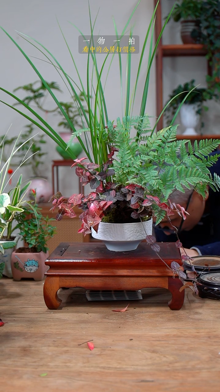 完全开放梦*蝶132组合