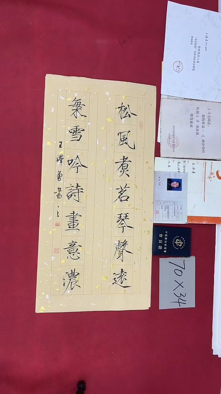 书法王泽勇老师书法作品035