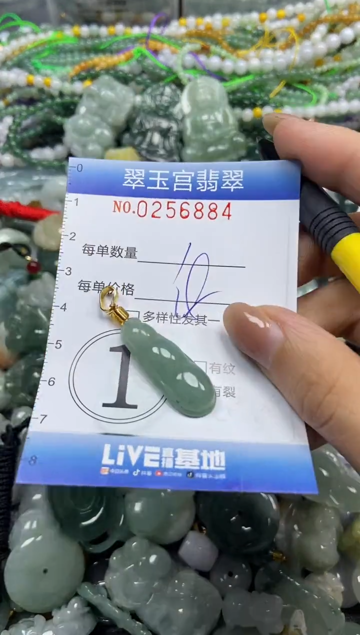颈饰未镶嵌翡翠闪购C0256884