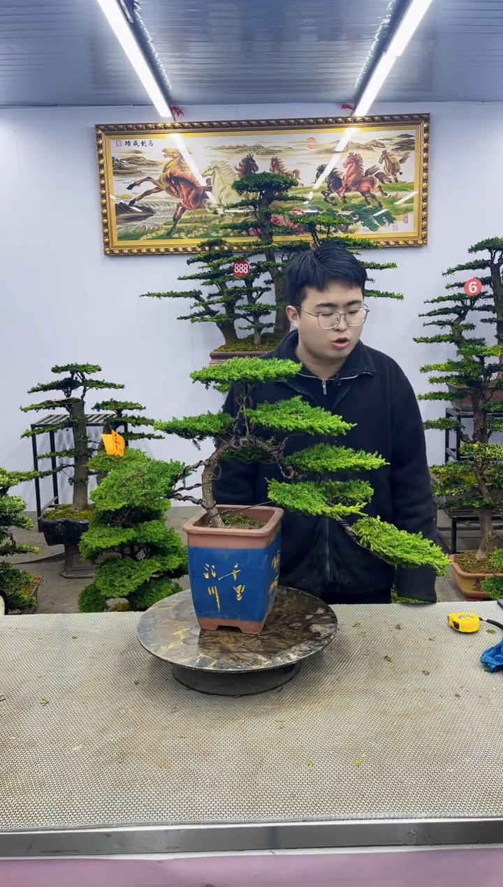 【闪购商品】11111111111