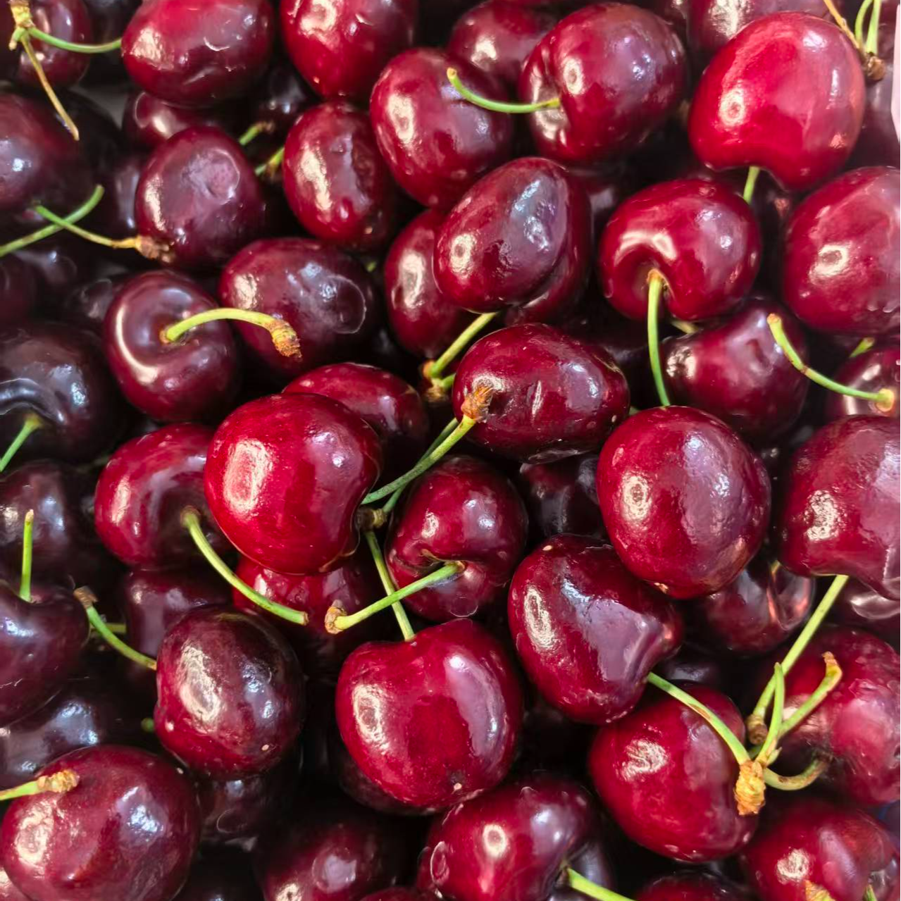 车厘子JJJD【济南同城】智利车厘子海运硬脆甜2斤到5斤智利