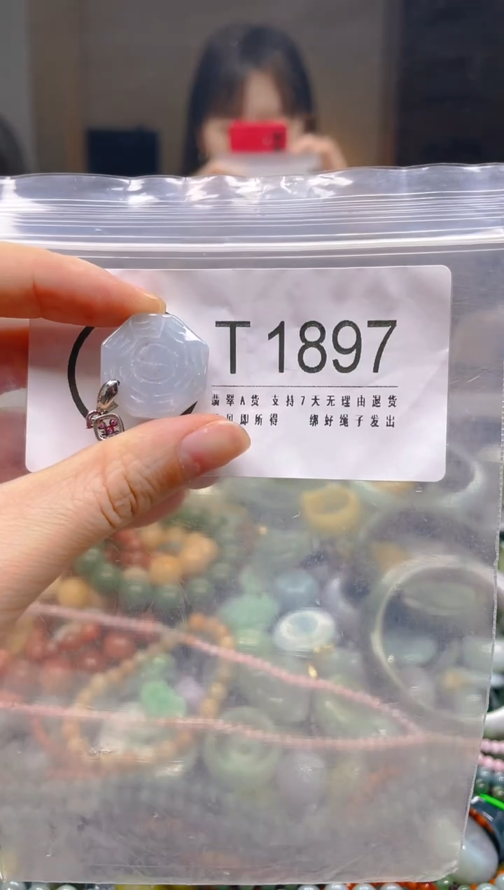 翡翠未镶嵌颈饰/T/翡翠A货一图一物