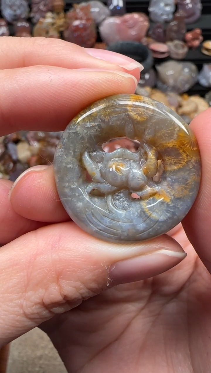 颈饰未镶嵌硅化珊瑚（珊瑚玉）308