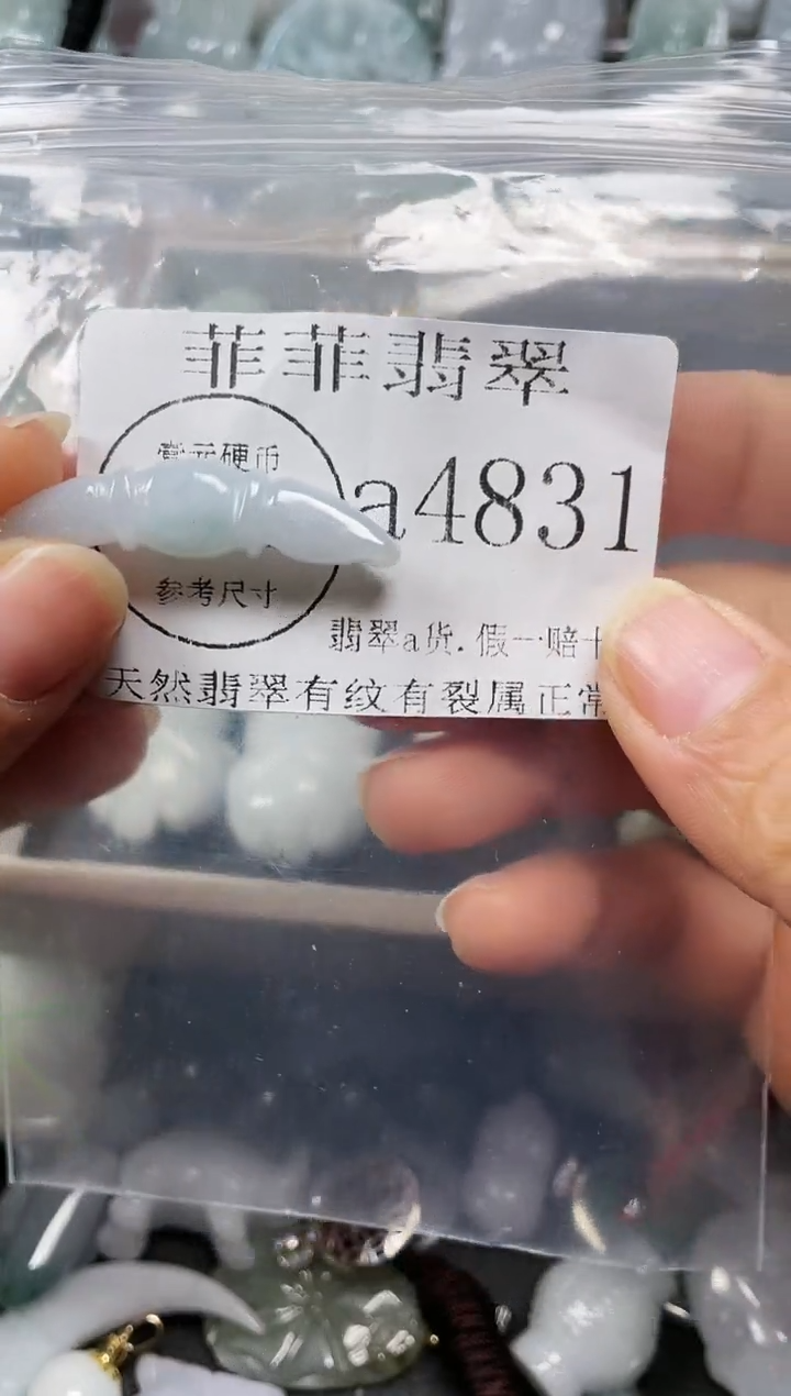 【闪购商品】翡翠颈饰未镶嵌闪购4831