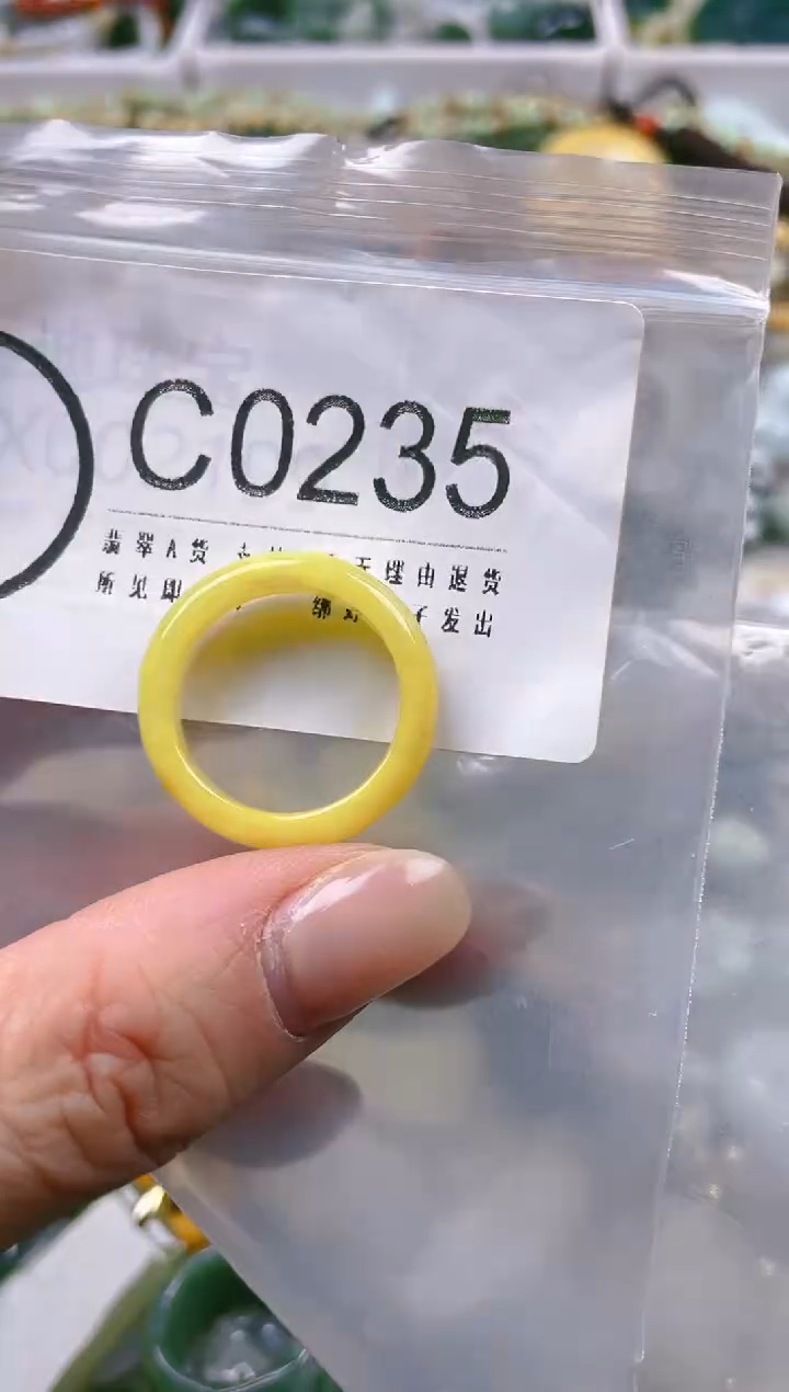 【闪购商品】翡翠颈饰未镶嵌18-19/C/翡翠A货一图一物