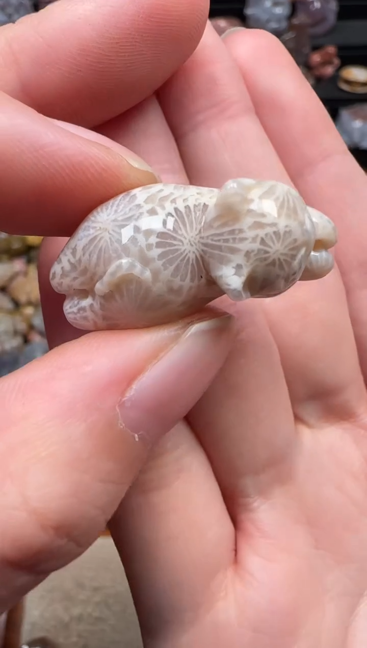 颈饰未镶嵌硅化珊瑚（珊瑚玉）183
