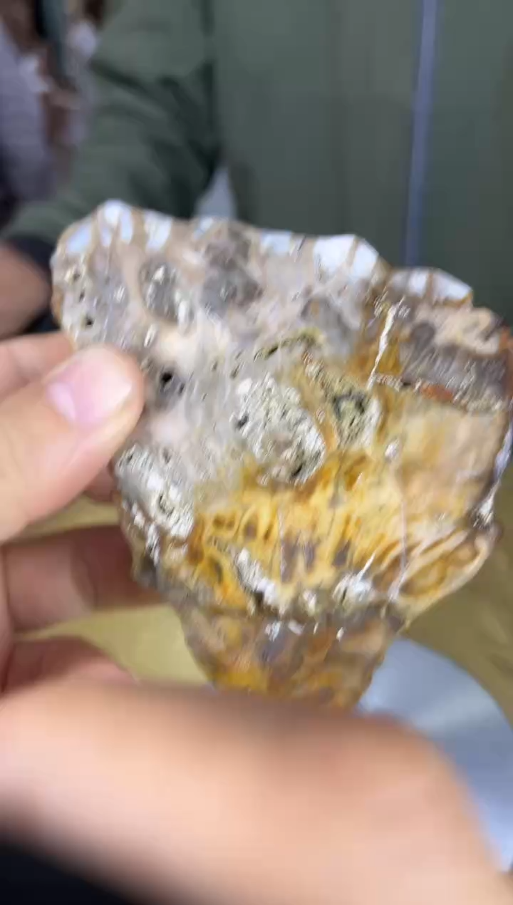 未镶嵌珠宝奇石硅化玉缅甸天然树化玉手把件