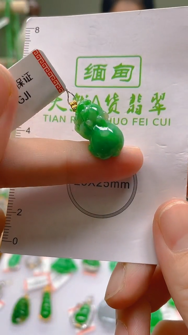 【闪购商品】翡翠18K金镶嵌颈饰 新号开播，全场乱卖