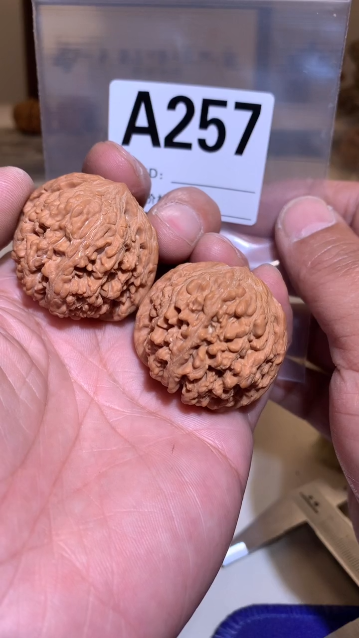 【闪购商品】桃核把件38左右满天星球星